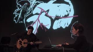 RAIA ao Vivo - Dança dos Pássaros