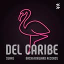 del Caribe